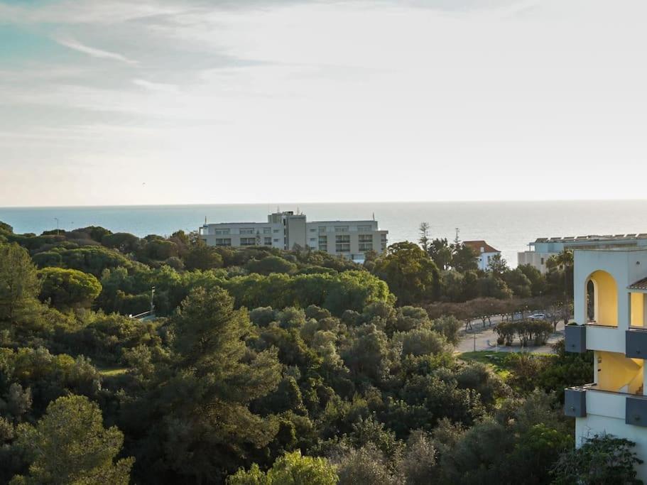 Central Apartment - Pool And Sea View & Albufeira Center Eksteriør billede